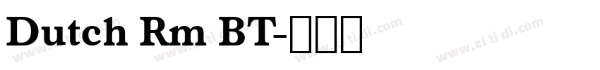 Dutch Rm BT字体转换